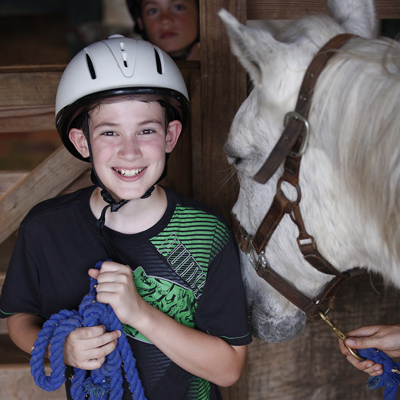 Horseback Riding 2.0