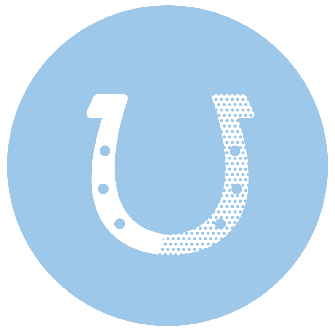 Camp Skill: Horseback Riding 2.0