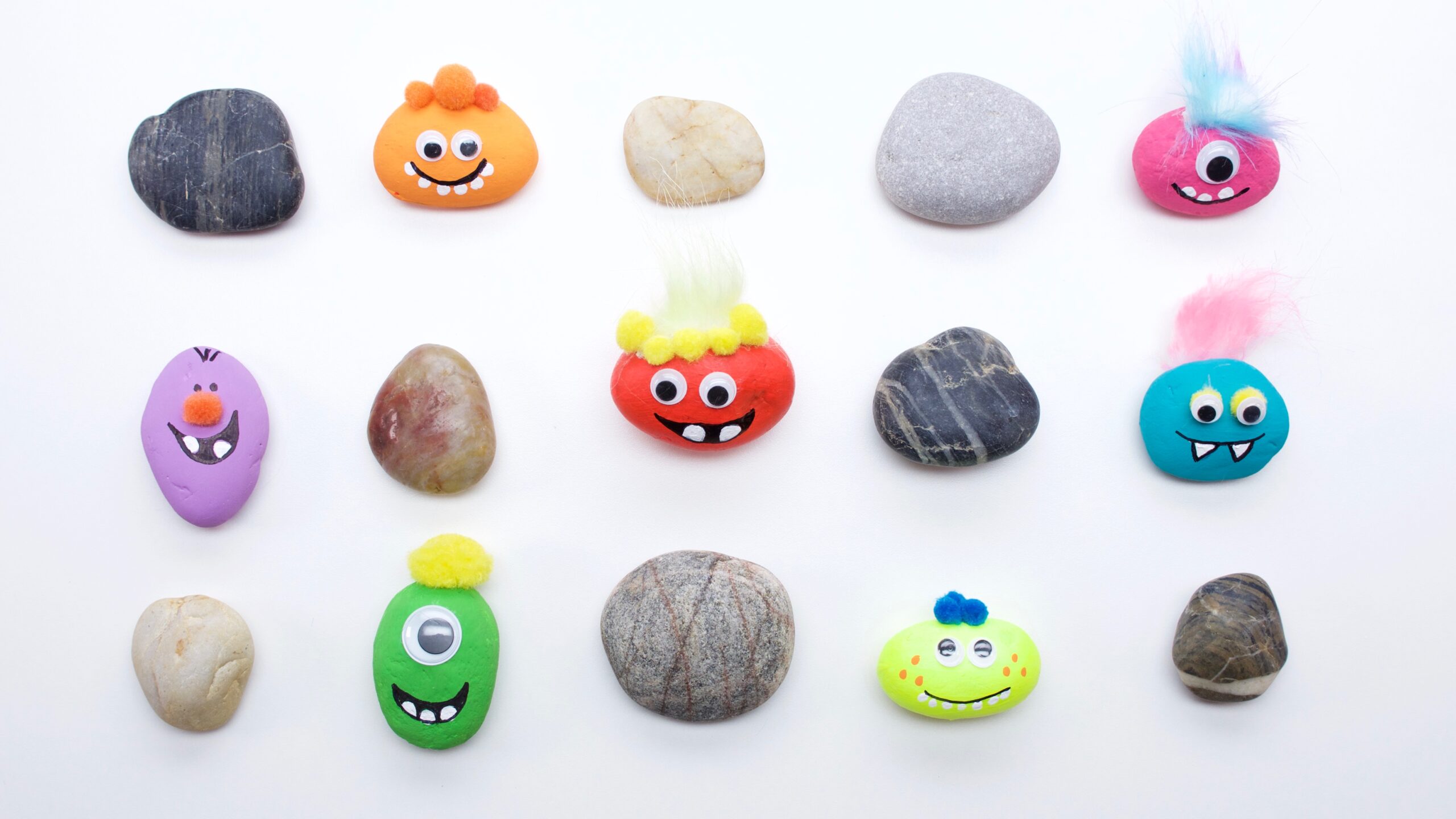 Paint Pet Rocks